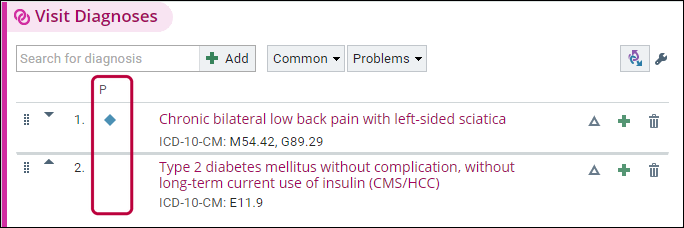 Visit Diagnoses list with two diagnoses and the P column outlined