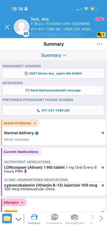 A test patient's chart open to Summary in Haiku, with the bottom toolbar