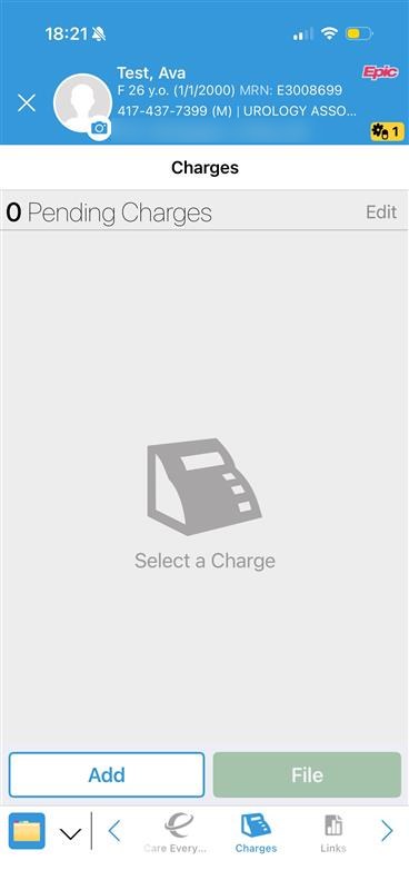 Charges in Haiku with no pending charges and the Add button
