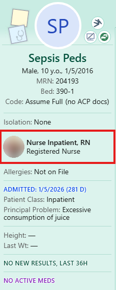Patient Storyboard for a test patient with the treatment team member outlined in red